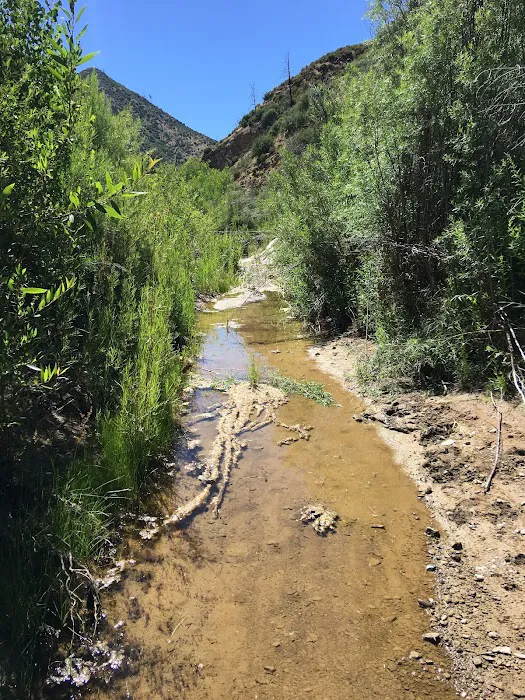 Deal Campground Picture 2