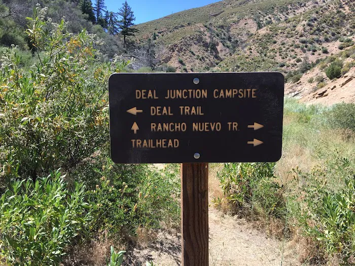 Deal Campground Picture 1