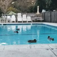 Ortega Oaks RV Park & Campground ico