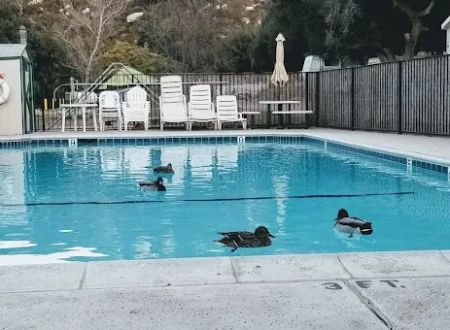Ortega Oaks RV Park & Campground