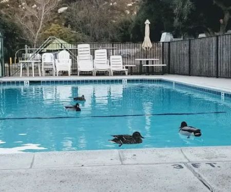 Ortega Oaks RV Park & Campground