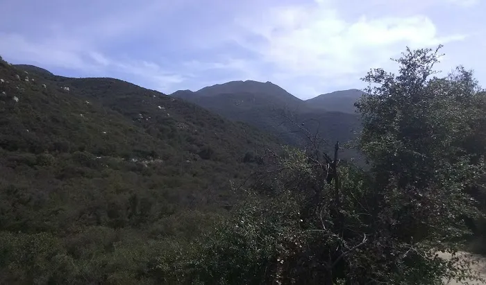 Ortega Oaks RV Park & Campground Picture 2