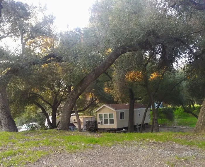 Ortega Oaks RV Park & Campground Picture 6