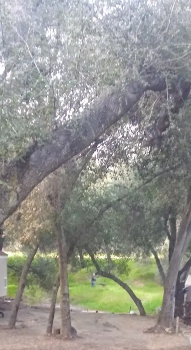 Ortega Oaks RV Park & Campground Picture 10