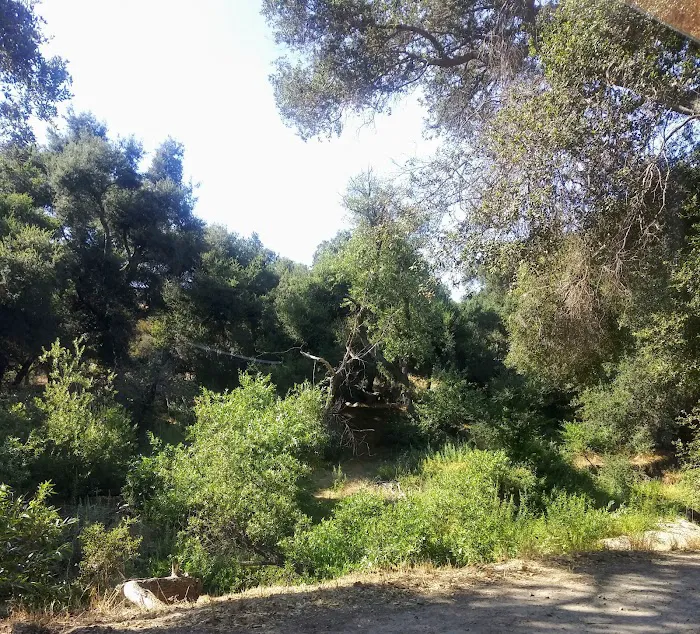 Ortega Oaks RV Park & Campground Picture 9