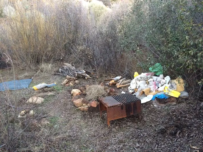 Upper Rancho Nuevo Campground Picture 1