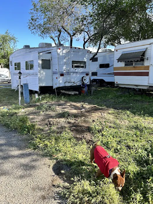 Roadrunner RV Park Picture 7