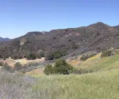 P-Bar Flats Campground