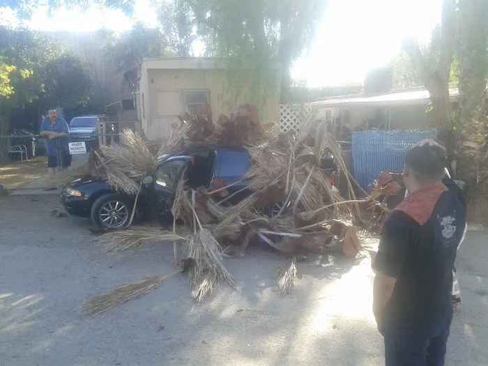 Aloha Mobile Home Park Picture 1