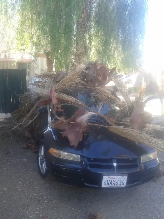 Aloha Mobile Home Park Picture 5