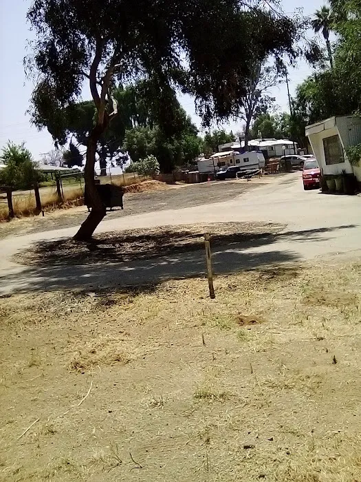 Aloha Mobile Home Park Picture 9