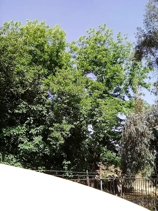 Aloha Mobile Home Park Picture 10