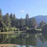 Pine Mountain Club Campground