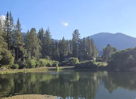 Pine Mountain Club Campground