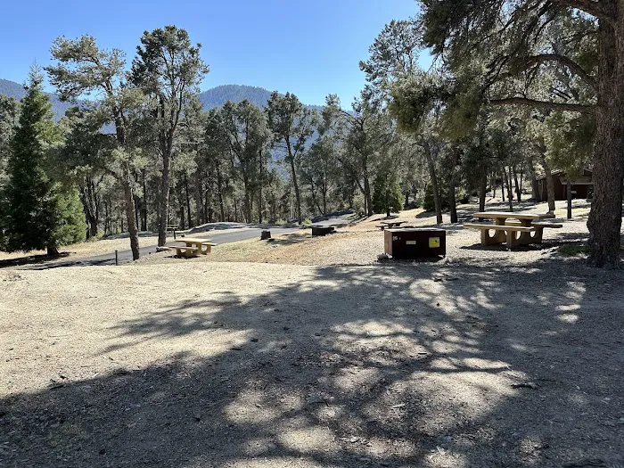Pine Mountain Club Campground Picture 3