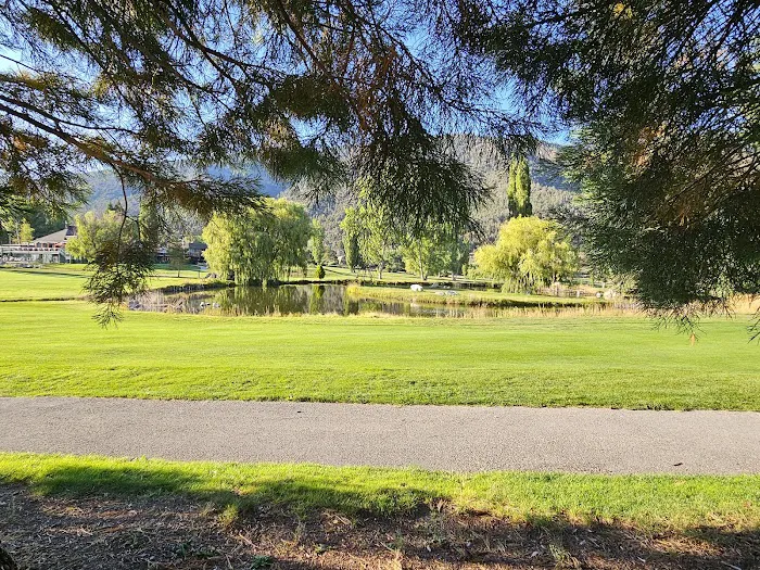 Pine Mountain Club Campground Picture 6