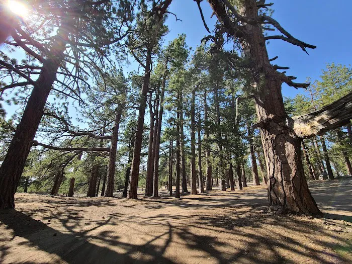 Campo Alto Campground Picture 3