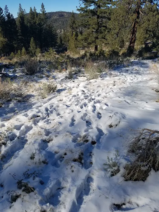 Happy Gulch Campground Picture 2