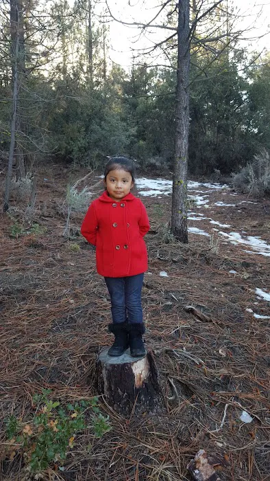 Happy Gulch Campground Picture 4