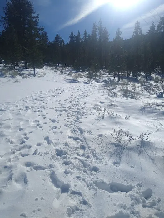 Happy Gulch Campground Picture 6