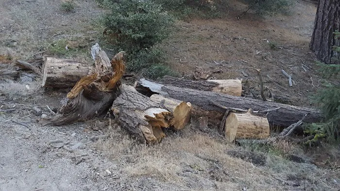 Marian Campground Picture 9