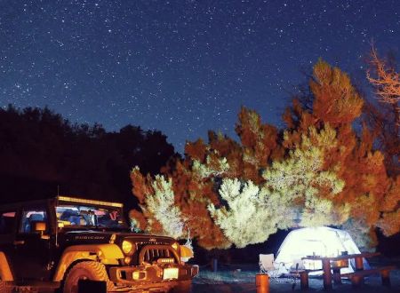 Toad Springs Campground