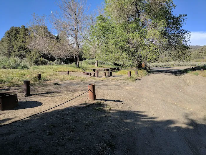 Toad Springs Campground Picture 8