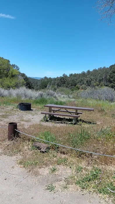 Toad Springs Campground Picture 7
