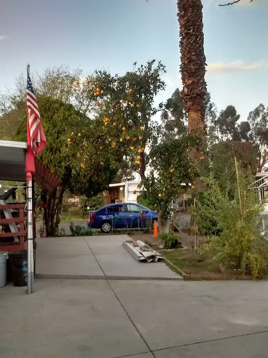 Orangewood Park-Mobile Homes Picture 9