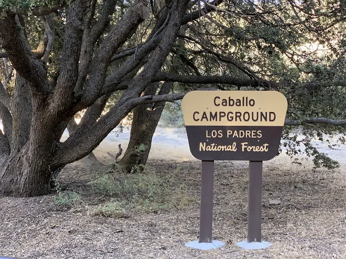 Caballo Campground Picture 3