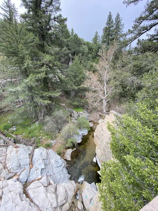Miller Canyon Group Sites Picture 5