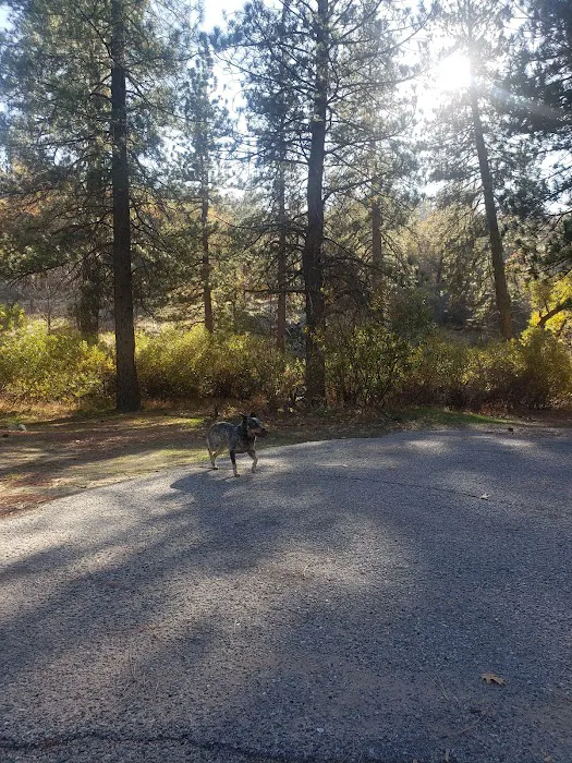 Miller Canyon Group Sites Picture 6