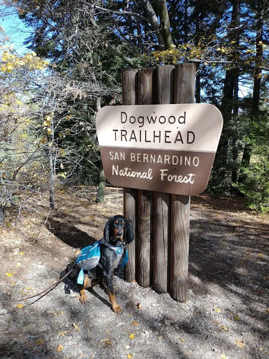 Dogwood Family Campground Picture 5