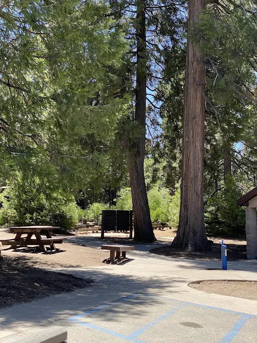Dogwood Family Campground Picture 6