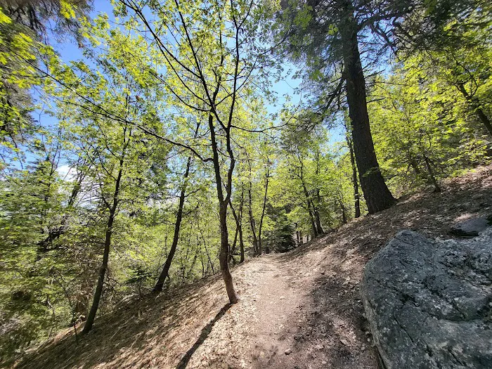 Dogwood Family Campground Picture 8