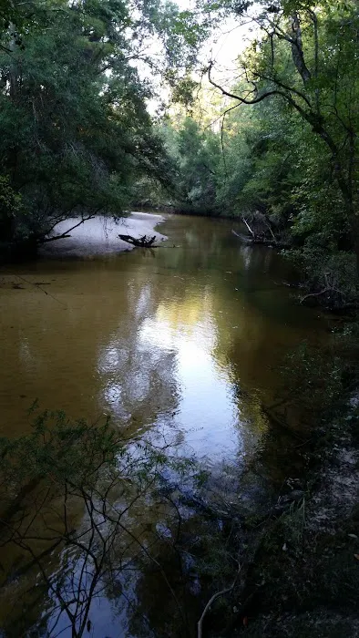 Camp Huck-a-Berry Picture 3
