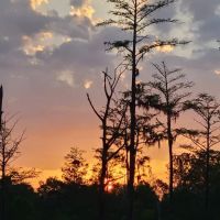 Camp Huck-a-Berry ico