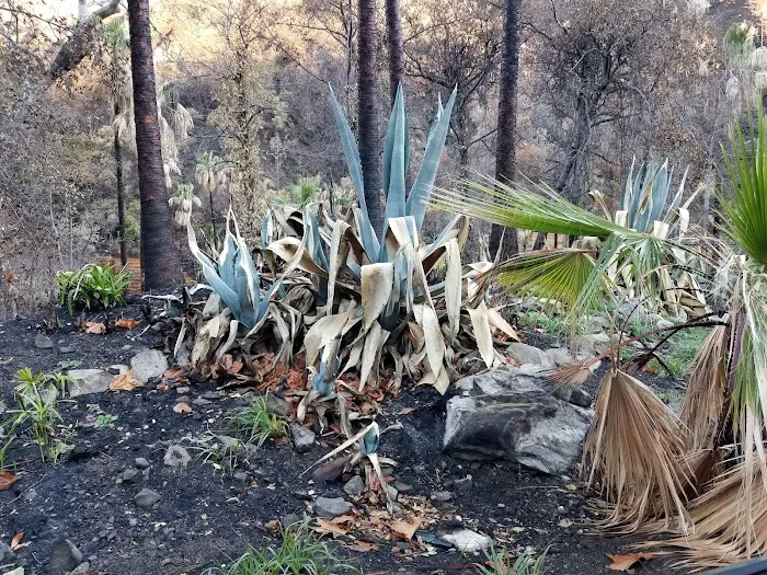 Ojai Valley Estates Picture 3