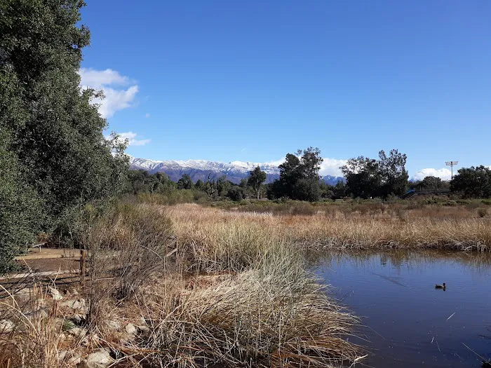 Ojai Valley Estates Picture 10