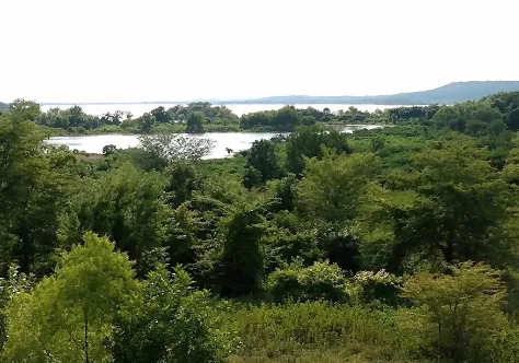 Lake Wister State Park Campground Picture 9