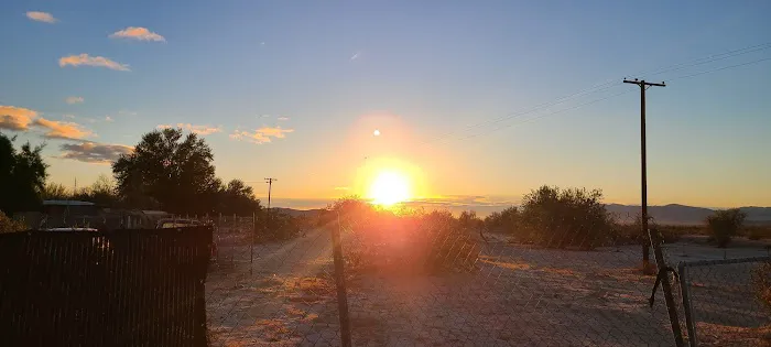 Ocotillo Oasis Mobile Home Park Picture 8