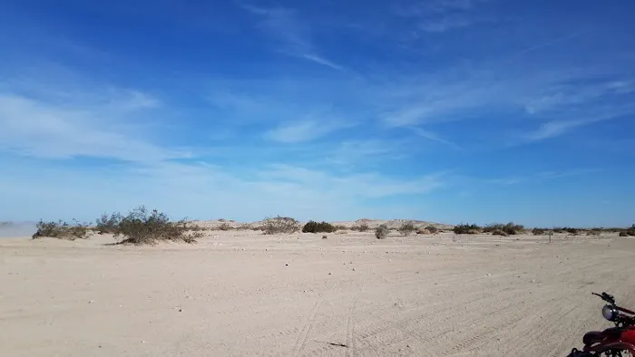 Ocotillo Oasis Mobile Home Park Picture 4