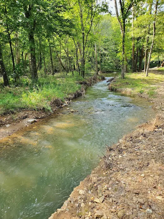 Creekside RV Park Picture 4