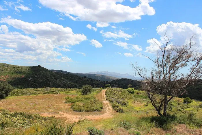 Ramona Oaks RV Park Picture 6