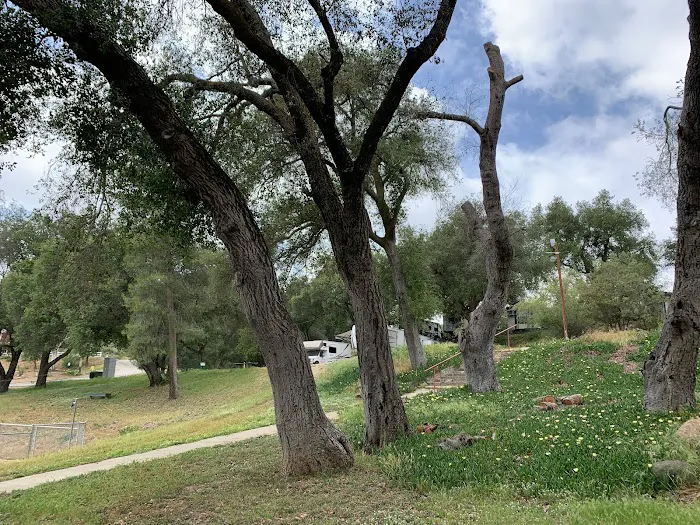 Ramona Oaks RV Park Picture 10