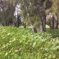 Rancho Ramona Mobile Home Park ico