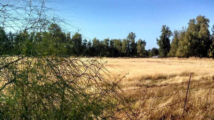 Rancho Ramona Mobile Home Park Picture 5