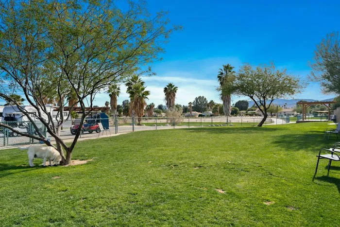 The Springs at Borrego RV Resort & Golf Course Picture 9
