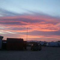 Leapin' Lizard RV Ranch ico