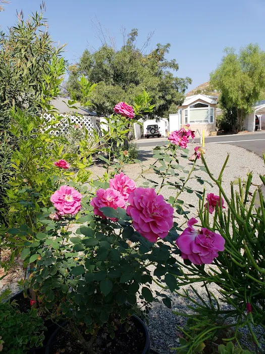 Meadowbrook RV Park Picture 4